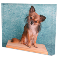 Sublimatie Acrylglas Landscape formaat (SC-2200)